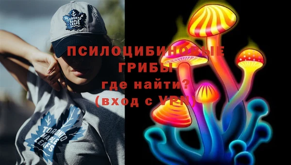 дживик Бугульма